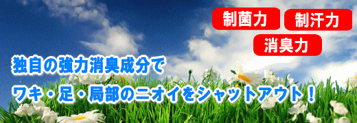 �p�[�t�F�N�g�f�I�h�����g�Z�b�g�����ʔ�